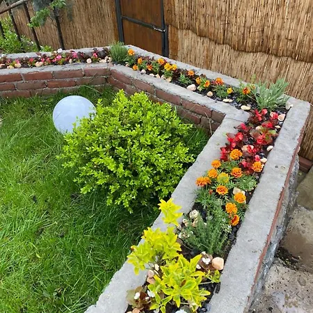 Nefes Sapanca Villa *