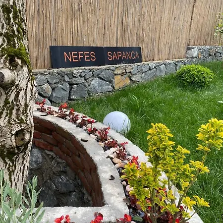 Nefes Sapanca 别墅 萨卡里亚