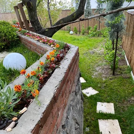 Nefes Sapanca Villa *