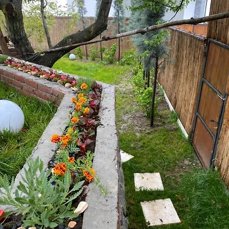 Nefes Sapanca Sakarya (Marmara)