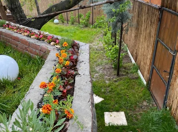 Nefes Sapanca Sakarya (Marmara)